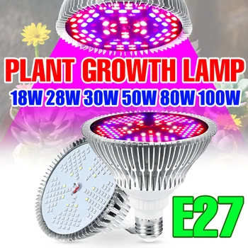 E27 LED לגדול הנורה ספקטרום מלא צמח אור E14 פיטו המנורה 220V UV Phytolamp על חממה שתילי פרחים LED אורות גידול